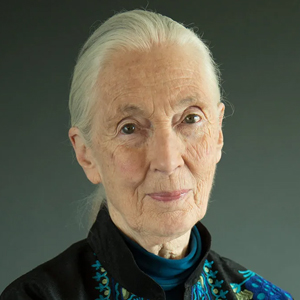 jane-goodall